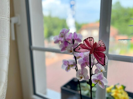 Pension Oybin Zittauer Gebirge Oberlausitz 02 Pension Oybin Zittauer Gebirge Oberlausitz 02